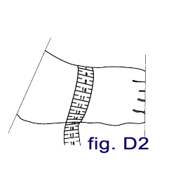 fig. d2