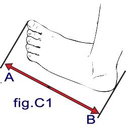 fig. c1